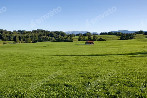 Preview: Meadows in bavaria
