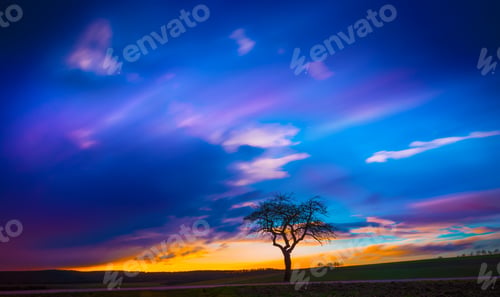 Preview: Breathtaking view of a tree on a grassy field with the beautiful colorful sky in the background