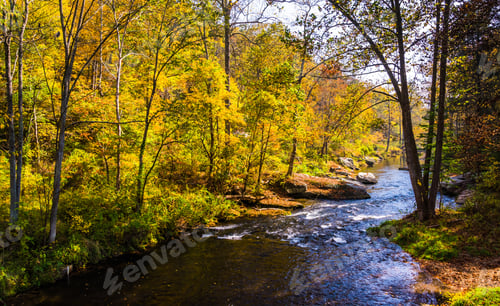 Preview: The Gunpowder River, In Baltimore County, Maryland.