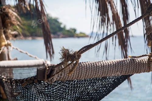 Preview: Hammock