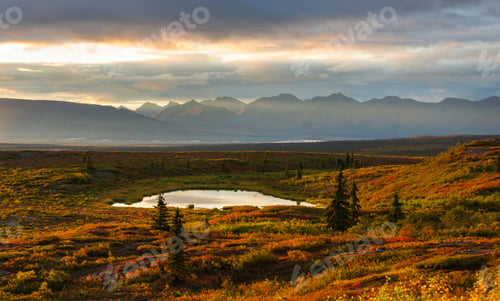 Preview: Autumn in polar tundra