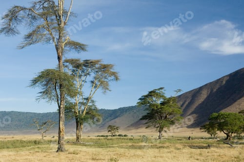 Preview: View of the view Ngorongoro Crater, tanzania