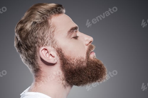 Preview: Bearded handsome.