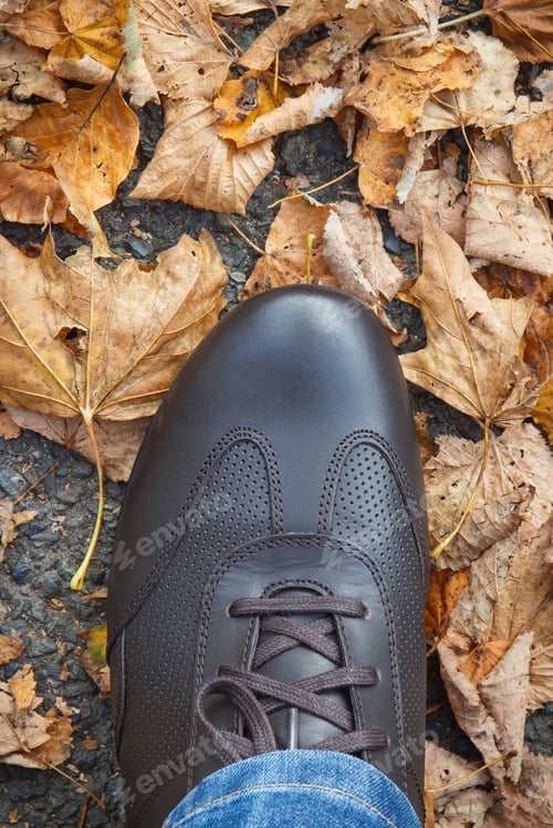 Preview: Brown leather shoes on asphalt road or footpath with autumnal leaves. Male footwear