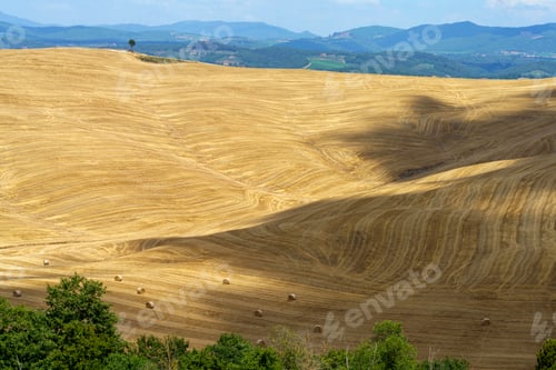 Preview: Rural landscape in Val d Orcia, Tuscany, Italy