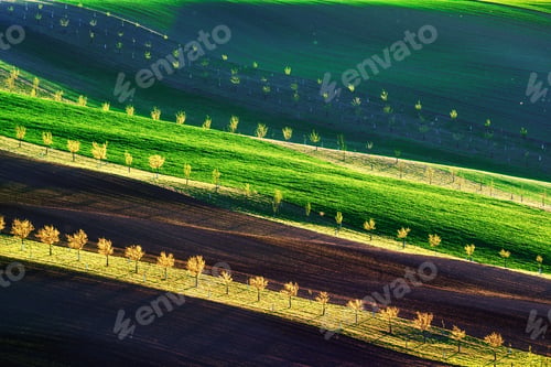 Preview: Rural spring landscape with colored striped hills with trees