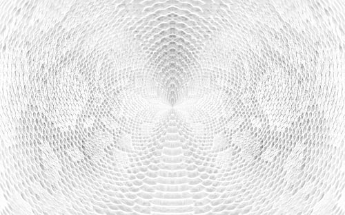 Visualização: Pele, fundo de cobra, textura de pele de cobra branca, Close-up