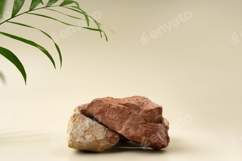 Preview: Granite stone with branch green leaf on beige background