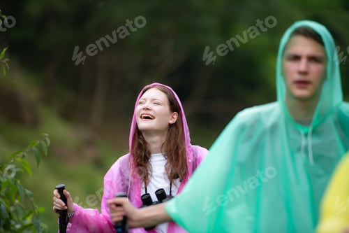 Preview: Group of friends in raincoats walking on the forest path, Hiking concept.