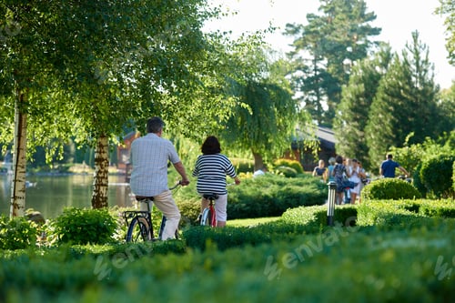 Preview: Back view mature couple cycling in the summer park.