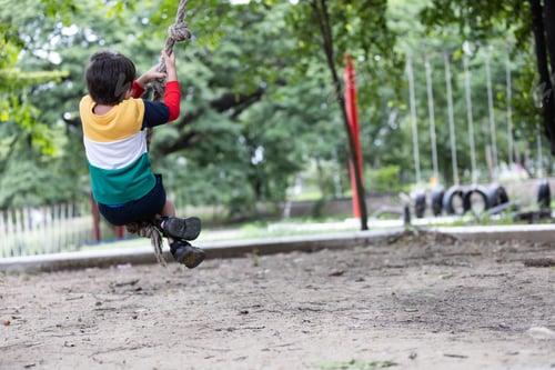 Preview: A playful boy swings joyfully on a rope in an outdoor adventure park.