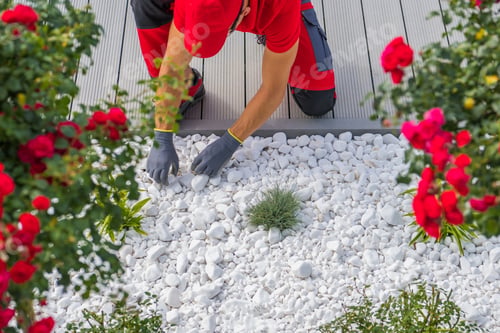 Preview: Professional Gardener Completing Landscape Design with White Pebbles