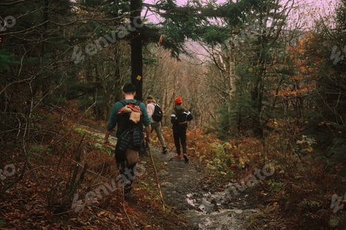 Preview: Friends hiking in autumn season