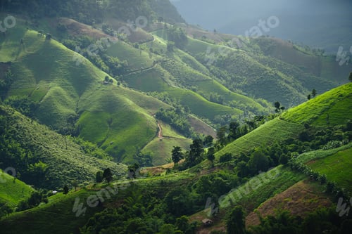 Preview: Green mountain scenery,Landscape of green mountains