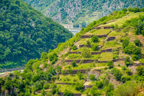 Preview: Vineyards at Rhine Valley in Germany