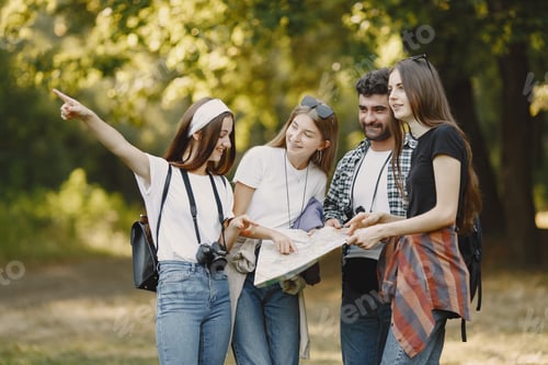 Preview: Groups of friends camping in the forest