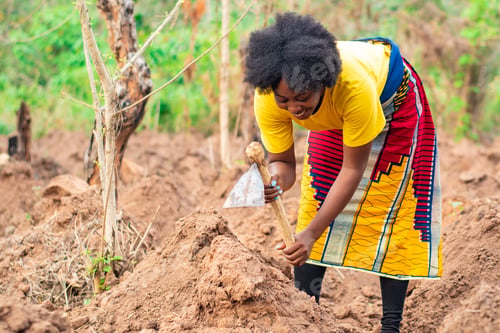 Preview: african farmer digging ridges on her farm