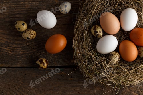Preview: Chicken and quail eggs in a nest on a wooden rustic background