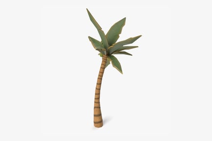 Preview: Toon Tropical Palm Tree with Coconut