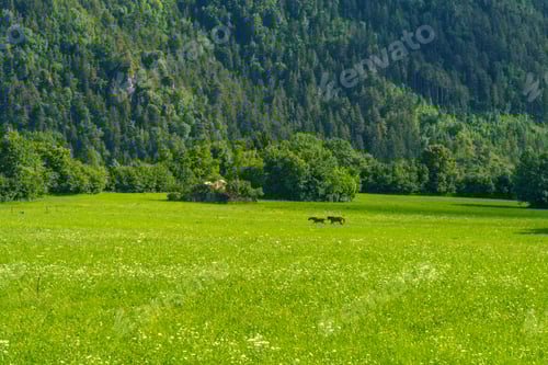 Preview: Road to Presolana, Bergamo, Italy. Mountain landscape