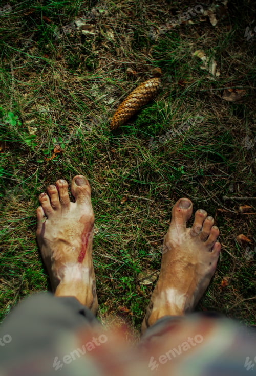 Preview: barefoot moss ground