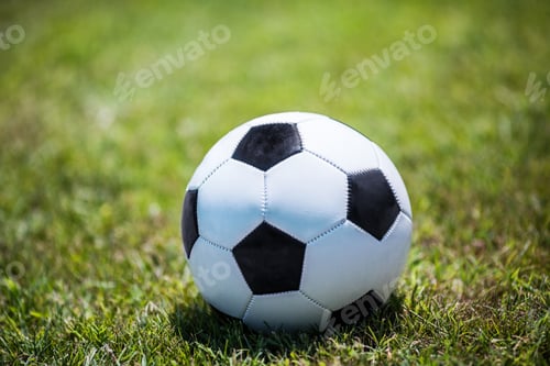 Preview: Traditional soccer ball on the lawn