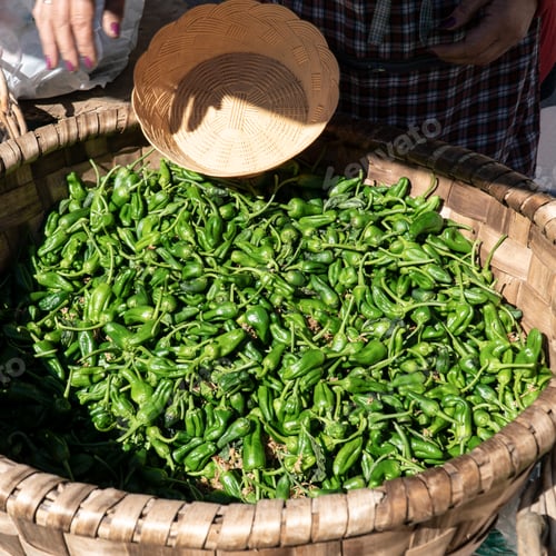 Preview: Fresh padron pepper on basket at farmers market.