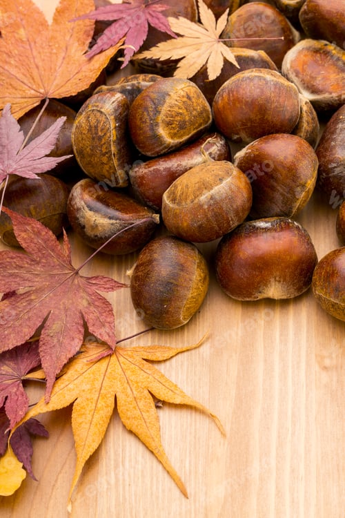Preview: Chestnut and dry maple leave on wooden background