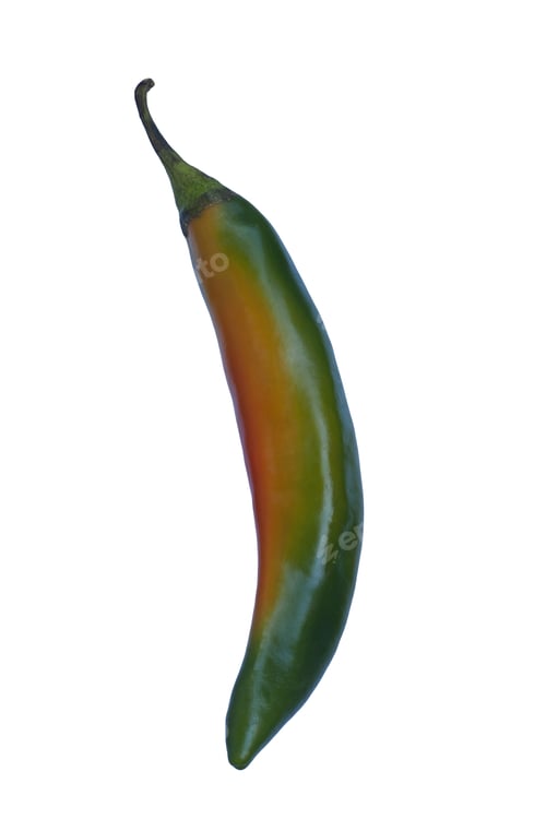 Preview: Korean Hot Pepper (Capsicum Annuum Korean Hot Pepper). Image Of Single Pepper Isolated On White