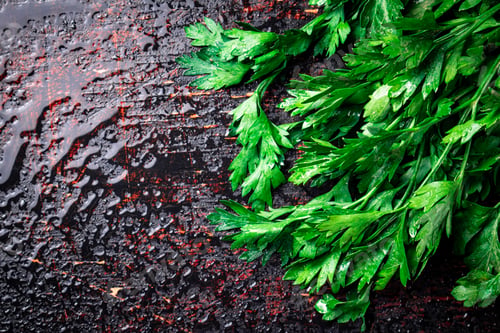 Preview: Parsley on a damp table.
