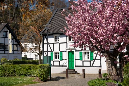 Preview: Center of village Odenthal with old buildings and blossoming trees at springtime, Germany