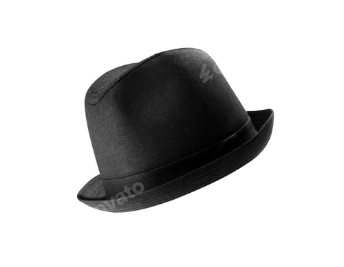Preview: male winter brown hat isolated