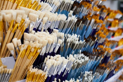 Preview: New artistic paint brushes on shelf in stationery shop