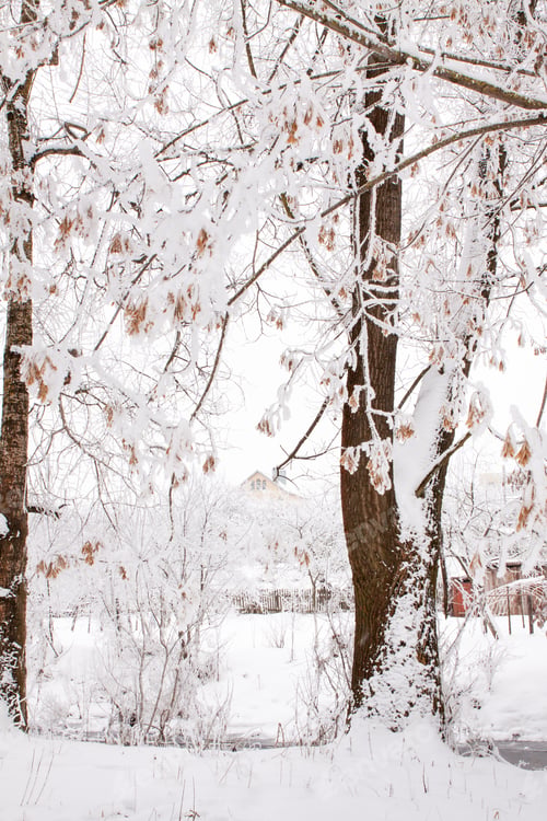 Preview: Snow-covered landscape of open spaces near the river. Snowy weather