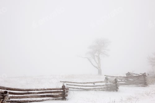 Preview: Cold winter, snow on the ground.