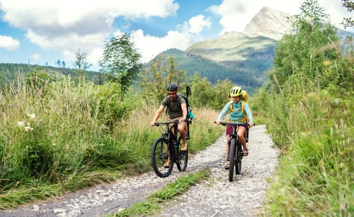 Preview: Family with small children cycling outdoors in summer nature