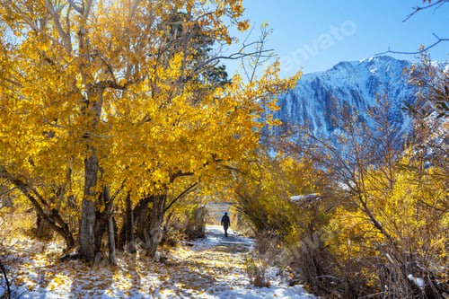 Preview: Hike in autumn season