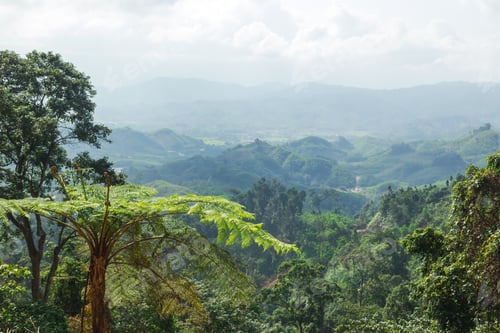 Preview: Green valley landscape with hills and rainforests under misty sky. Prao, Vietnam.