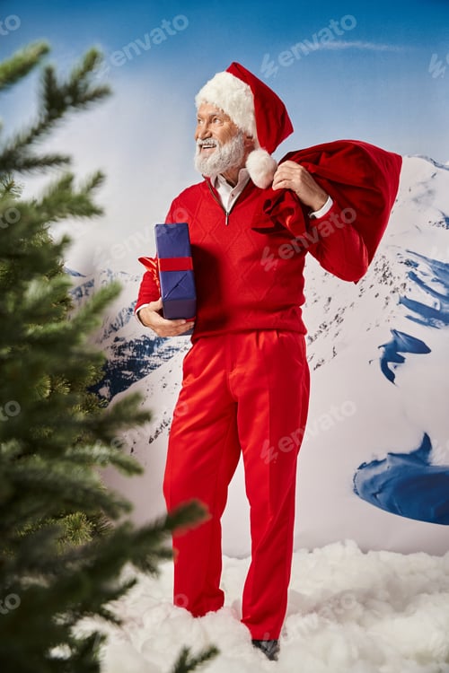 Preview: jolly Santa posing with present bag and gift in hand and looking away near fir tree, winter concept