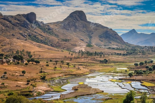 Preview: Ricefields of Madagascar