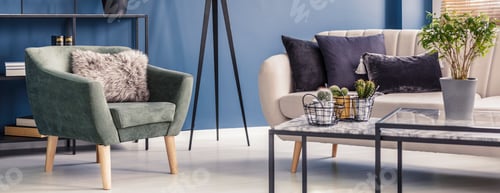 Preview: Armchair with fur pillow