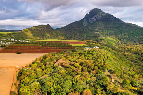 Preview: View from the height of the sown fields located on the island of Mauritius