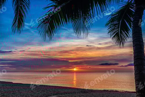 Preview: Sunset and palms