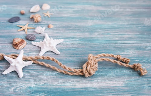 Preview: Seashells and sea decorations