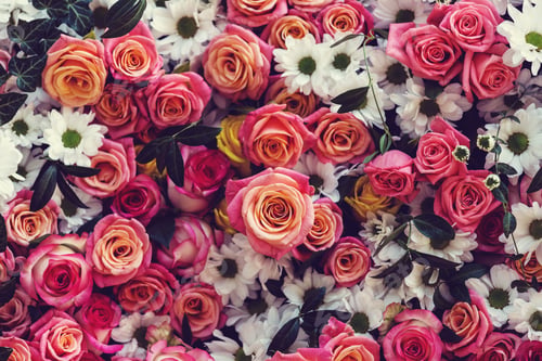 Preview: Flowers