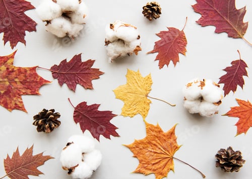 Preview: Autumn composition