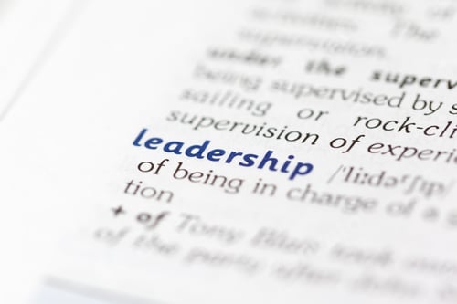 Preview: Dictionary definition of word