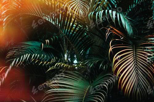 Preview: Dark green palm trees pattern with light effects. Toned