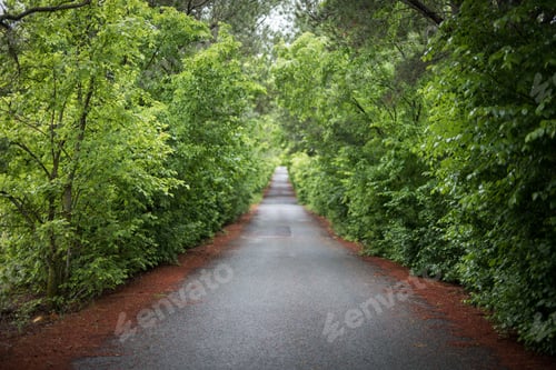 Preview: The long road