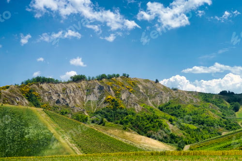 Preview: Rural landscape on the hills near Riolo Terme and Brisighella